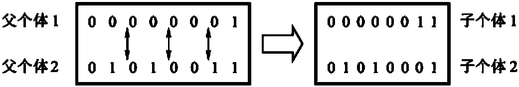 5.2.5 遺傳操作的設(shè)計